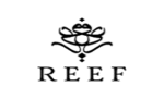 Reef Perfumes